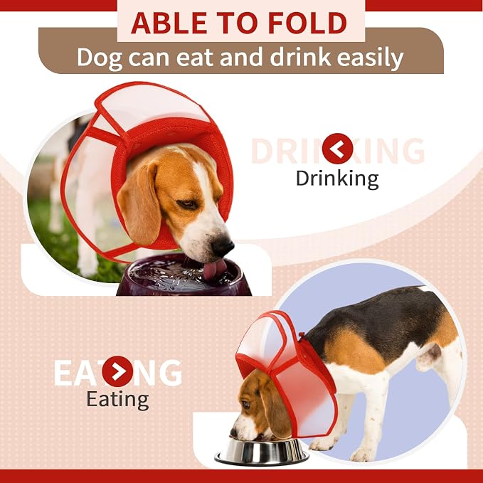 Allroaring Dog Cone Collar, Soft Dog Cones - Image 3