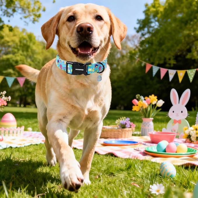 DOGWONG Easter Dog Collar, Cute Easter Egg Pet Collar Durable Holiday Girl Boy - Image 4