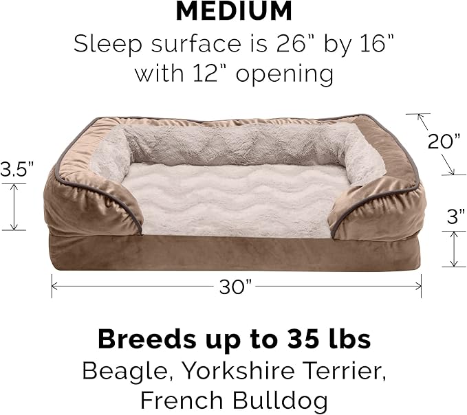 Furhaven Memory Foam Dog Bed for Medium/Small Dogs w/ Removable Bolsters & - Image 2