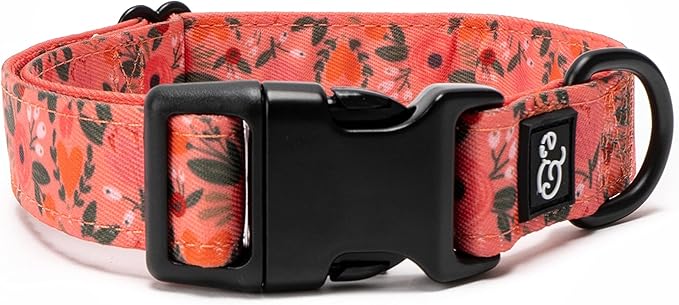 Lucy & Co. Posy Pink Dog Collar by LucyCo
