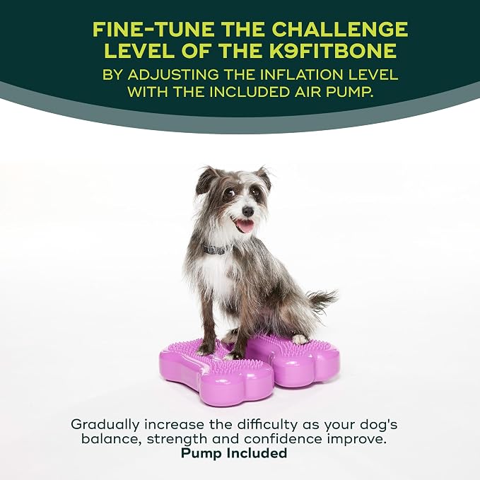 FitPAWS® K9FITbone® - Image 5