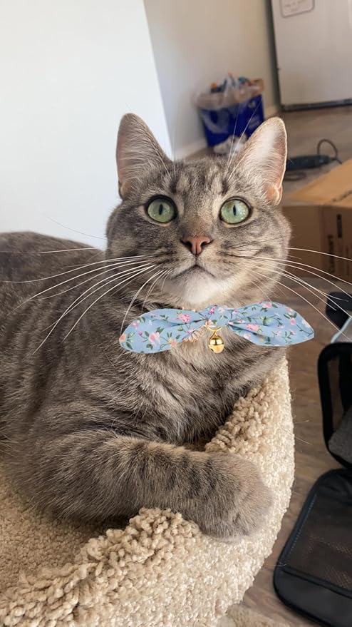 Cotton Bowtie Cat Collar with Bell 2 Pack Stylish Floral Breakaway Kitten - Image 7