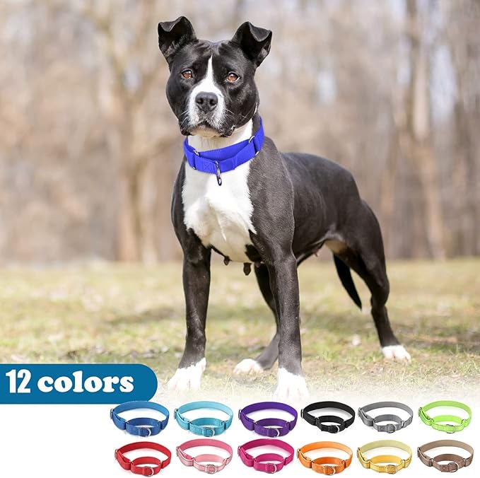 Cunno 12 Pcs Martingale Collar for Medium Dogs Reflective Dog Collar - Image 6