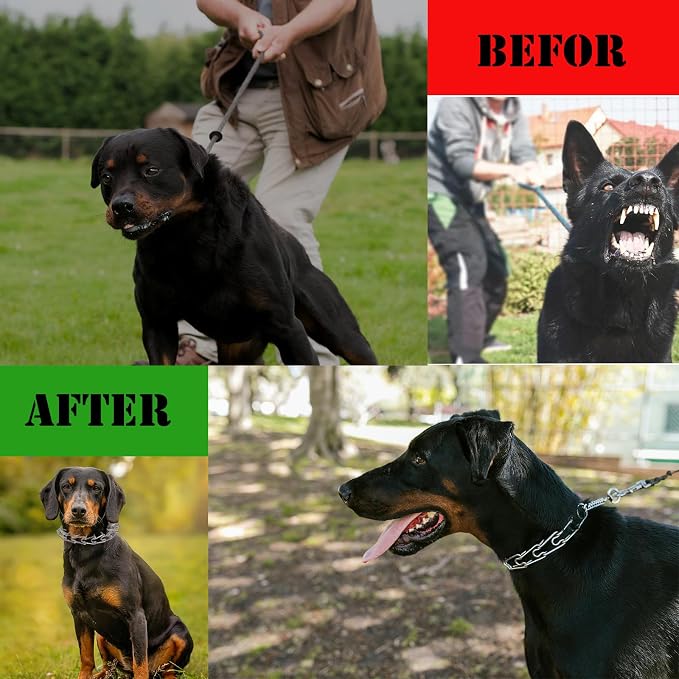 Prong Pinch Collar for Dogs - Image 5
