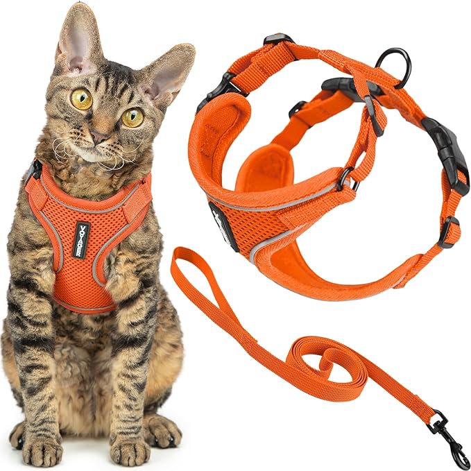 Voyager Escape-Proof Step-in Lock Cat Harness & 5ft Neoprene-Handle Leash Set by BestPetSuppliesLLC