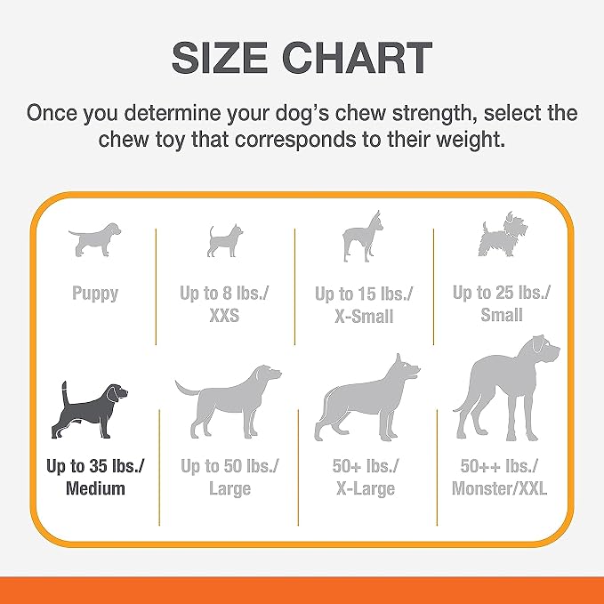 Nylabone Flavor Frenzy Barbell Puppy Chew Toy, Rubber Toys - Image 4