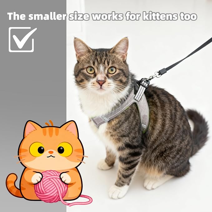 ROYPET Step-in Air Dog Harness, All Weather Mesh Step in Vest Harness - Image 4