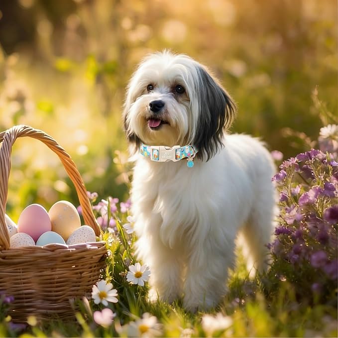 Easter Dog Collar for Medium Dogs - Image 7