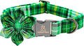 Lionheart glory St. Patrick's Day Dog Collar by LionheartGlory