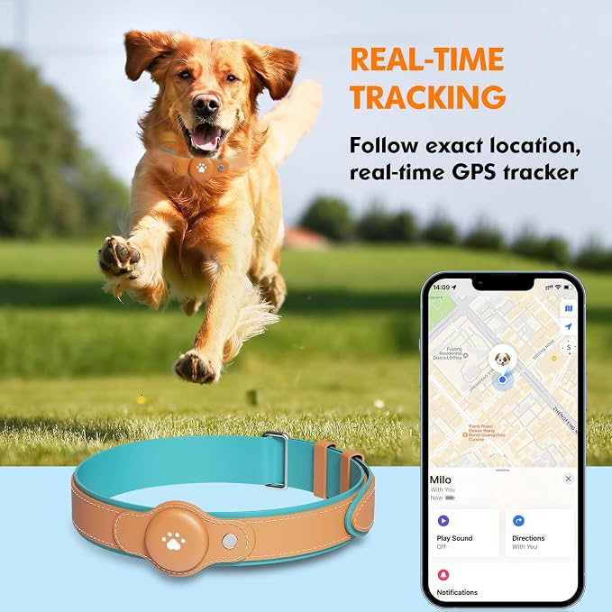 2-in-1 GPS Tracker for Dogs: Smart Collar - Image 2