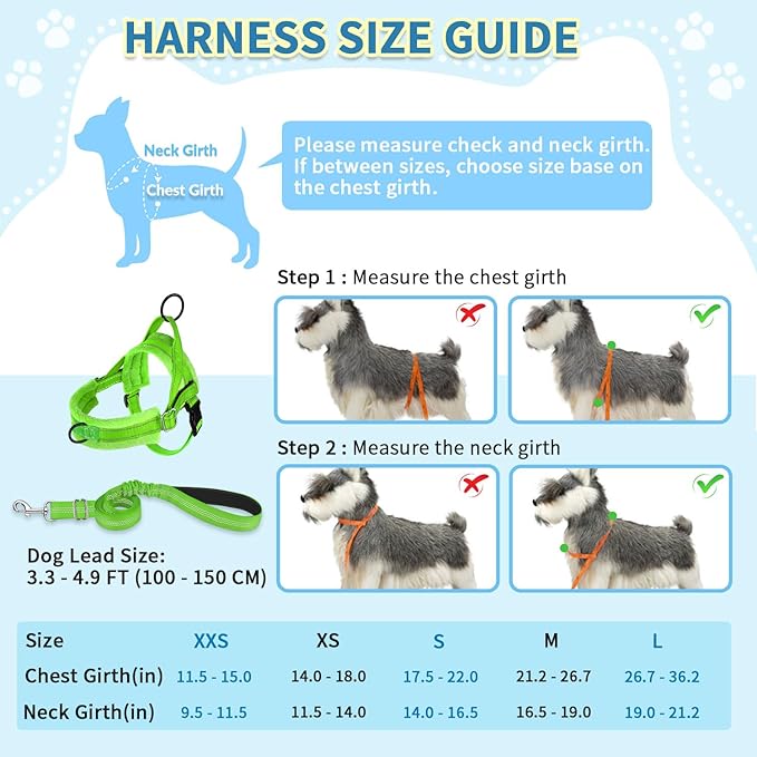 SlowTon No Pull Small Dog Harness and Leash Set, Puppy Soft Vest Harness Neck & - Image 5