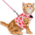PUPTECK Soft Mesh Cat Vest Harness and Leash Set Puppy Padded Pet Harnesses by PUPTECK