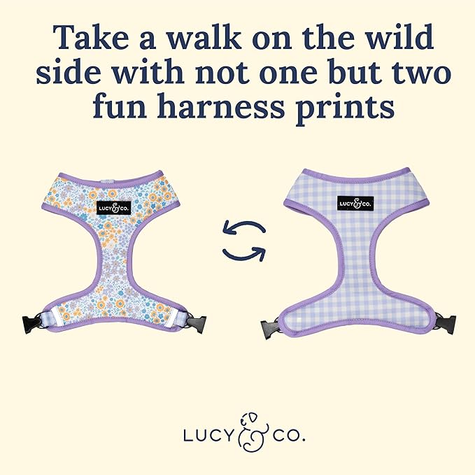 Lucy & Co. Cute Reversible Dog Harness Walking Halter - Image 3