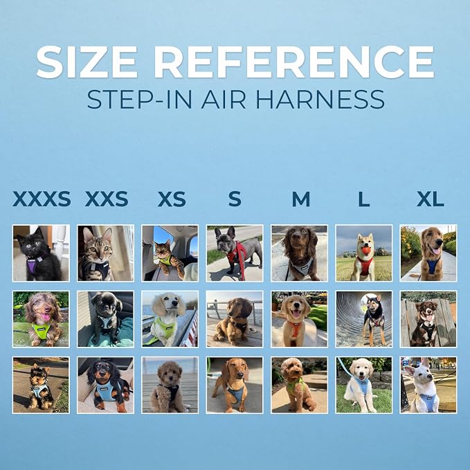 Best Pet Supplies Voyager Step-in Air All Weather Mesh Harness and Reflective - Image 7