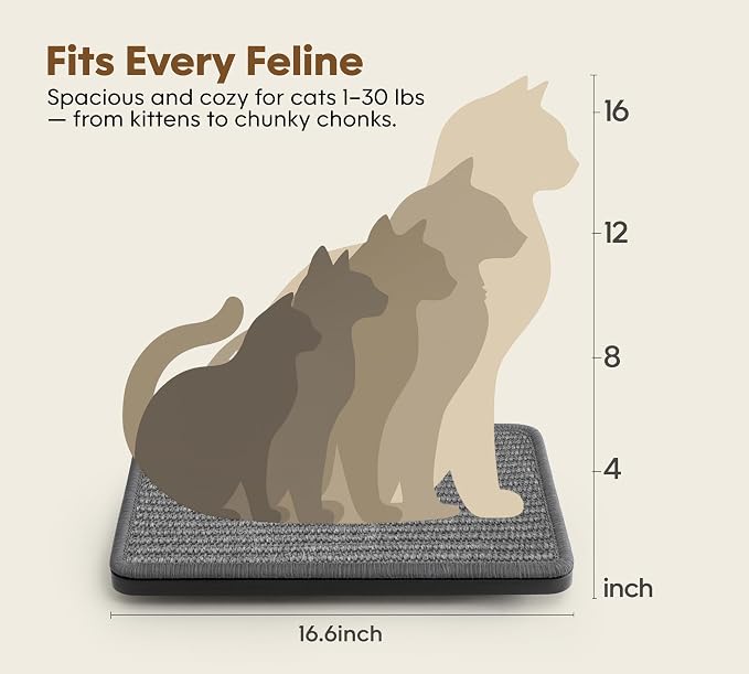 Cat Wall Shelf Window Perch, Cats Bed Hammock - Image 5