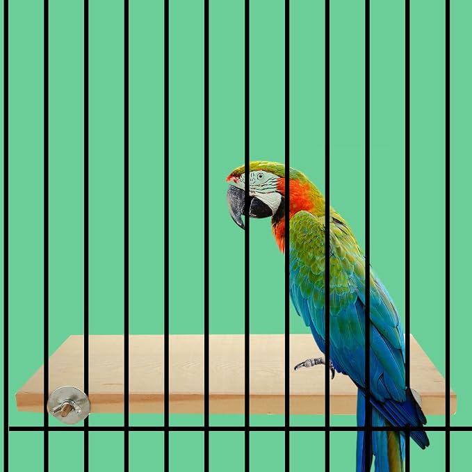 4 Pack 5 x 12 Inches Bird Perches - Image 7