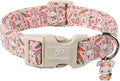 Easter Dog Collar for Medium Dogs by Babolepet