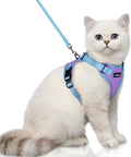 rabbitgoo Cat Harness and Leash Set, Escape Proof Soft Adjustable Vest Harnesses by rabbitgoo