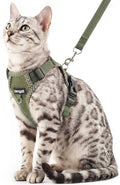 Cat Harness and Leash Escape Proof Large Kitten Harness Ragdoll Cat Vest by pangdi