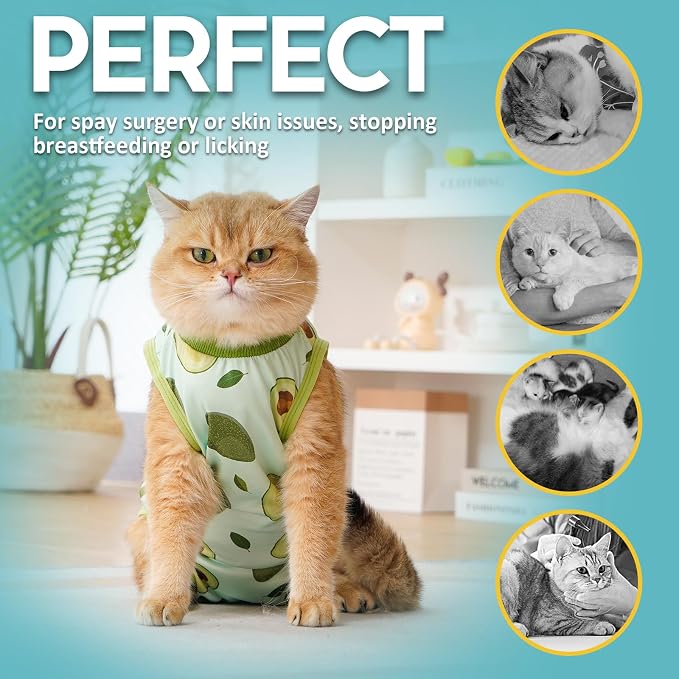 Avont Cat Recovery Suit - Image 4