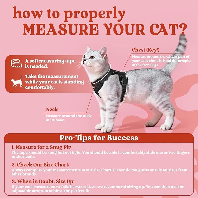 rabbitgoo Cat Harness and Leash - Image 2
