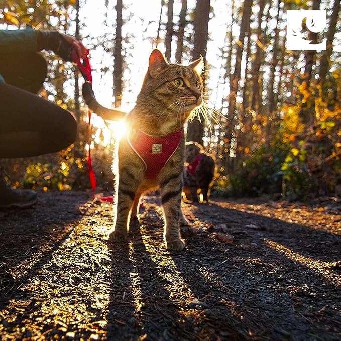 RC Pets Adventure Kitty Harness Includes Adjustable, Airmesh Fabric - Image 2