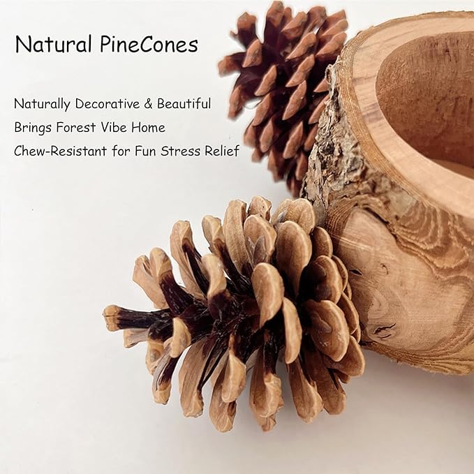 2 Pcs Bird Perch with Safe Bowl Wood & Pinecones - Image 3