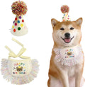 Dog Princess Costumes Puppy Birthday Bandana Scarf and Party Hat Cute Lace Dog by ROHOME