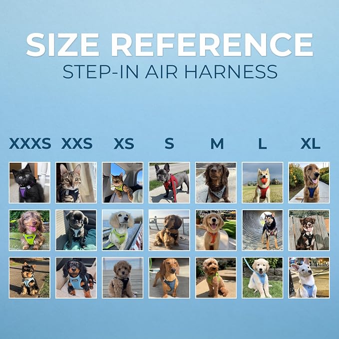 Best Pet Supplies Voyager Step-in Air All Weather Mesh Harness and Reflective - Image 7