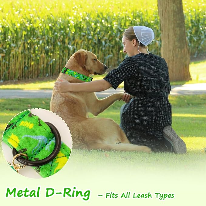 Dinosaur Dog Collar，Green with Multicolor Dino Pattern Handmade Cotton Collar - Image 5