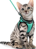 rabbitgoo Cat Harness and Leash Set by rabbitgoo