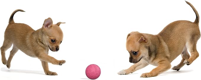Snug Rubber Dog Balls for Small and Medium Dogs - Image 6