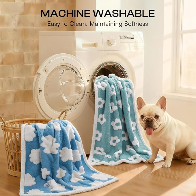 Luciphia Waterproof Pet Blanket - Image 8