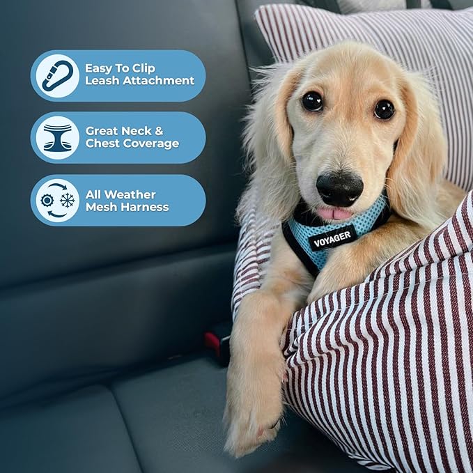 Best Pet Supplies - Image 5