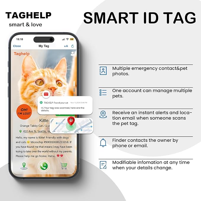 Collar with QR Code, Reflective Cat Collar with Name Tag, Personalized - Image 8