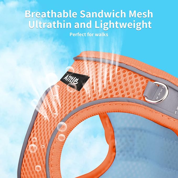 AIITLE Step in Dog Harness and Leash Set - Image 4