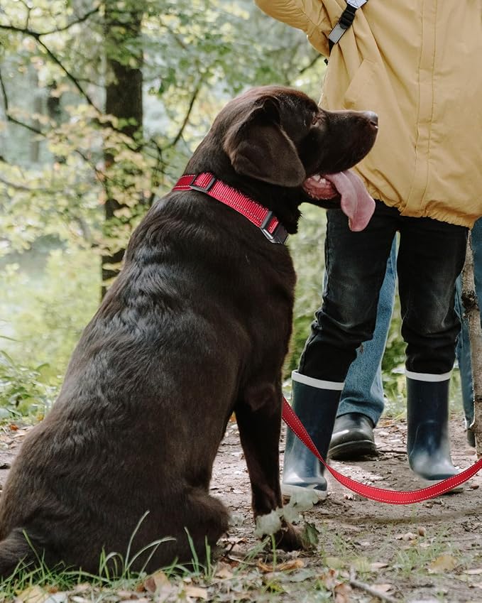 TagME Reflective Nylon Dog Collars, Adjustable Classic Pet Collar - Image 2