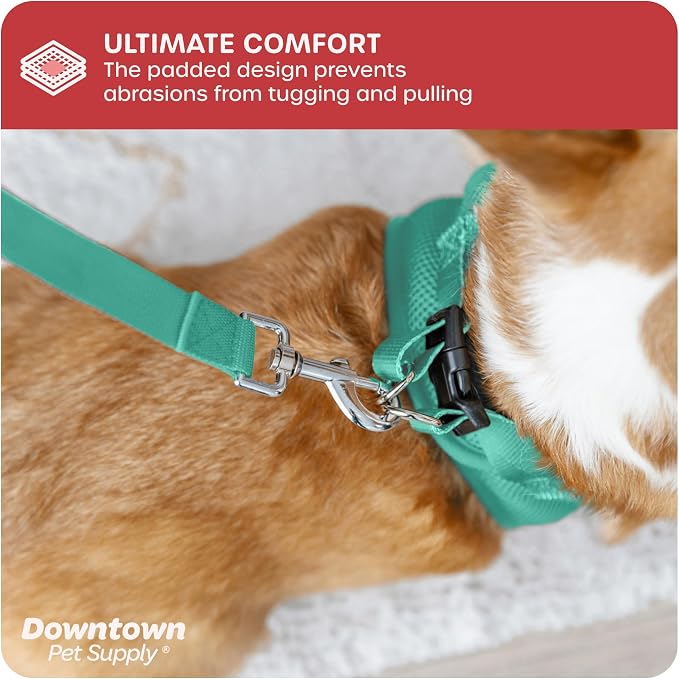 Downtown Pet Supply Step in Dog Harness No Pull, Bermuda Blue - Image 6