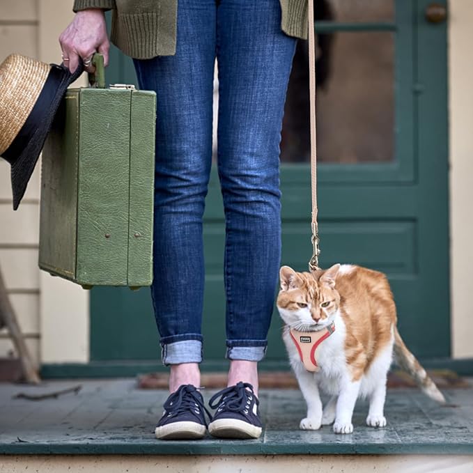 Cat Harness and Leash Set, Soft and Breathable Vest - Image 5