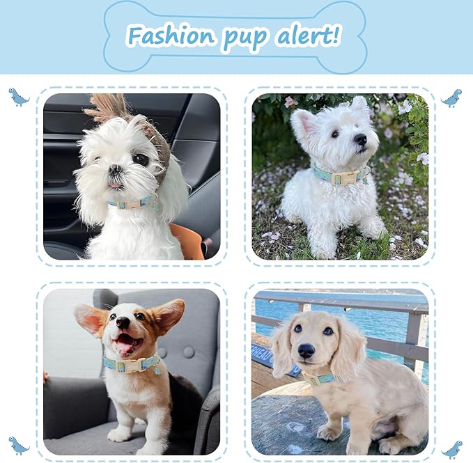 Dinosaur Dog Collar for Small Dogs, Cute Puppy Collars - Image 3