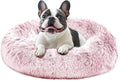 JOLLYVOGUE Calming Dog Bed Medium Size Dog, Anti-Anxiety Donut Medium Pet Bed by JOLLYVOGUE