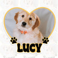 Custom Pet Photo Heart Sticker Personalized Pet Name Decal Cute Pawprint Design by SANGAROM