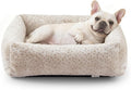 JOEJOY Small Dog Bed for Small Dogs, Washable Orthopedic Premium Soft Corduroy by JOEJOY