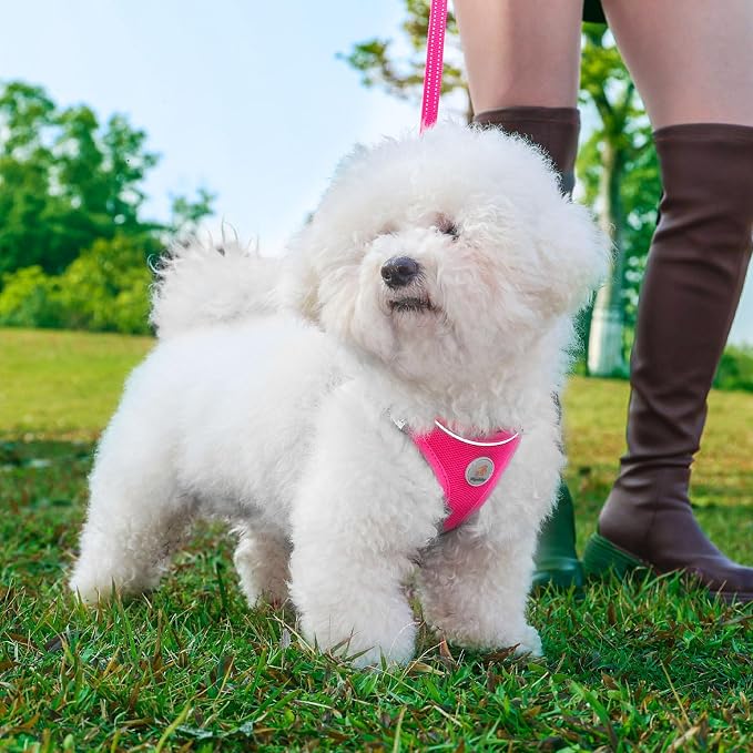 Hipubby Dog Harness and Leash Set, No Pull Soft Mesh Puppy Harness - Image 2