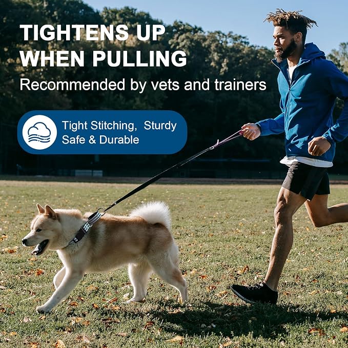 Martingale Dog Collar, Adjustable Nylon Reflective Collar - Image 6