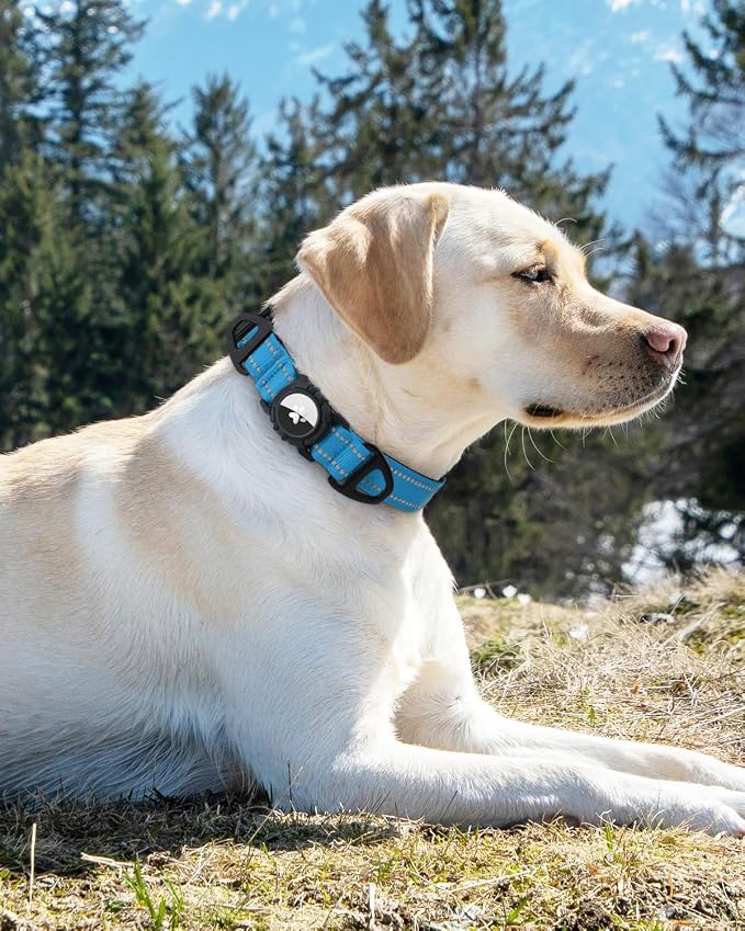 Joytale Airtag Dog Collar, Reflective Pet Collar - Image 8