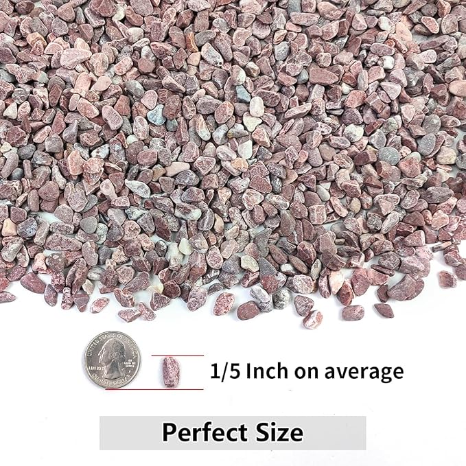 5LB Succulent and Cactus Gravel Pebbles, 1/5 Inch Natural Decorative Polished - Image 2