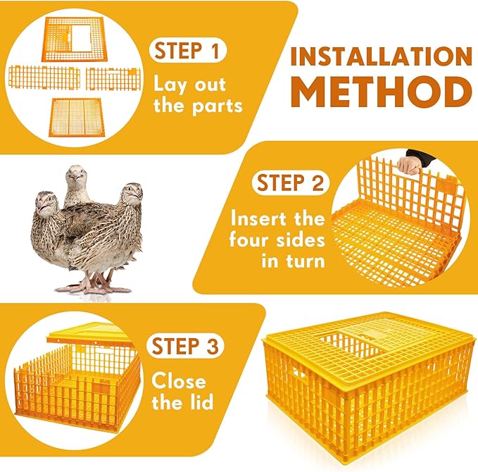 Sintuff Poultry Carrier Crate Plastic Chicken Transport Cage Bird Carriers - Image 3