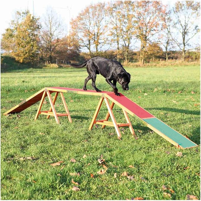 Trixie Dog Agility Walk and Ramps – Dog Obstacle Training Equipment Training - Image 2
