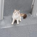 Uross Carpet Protector for Pets by Uross